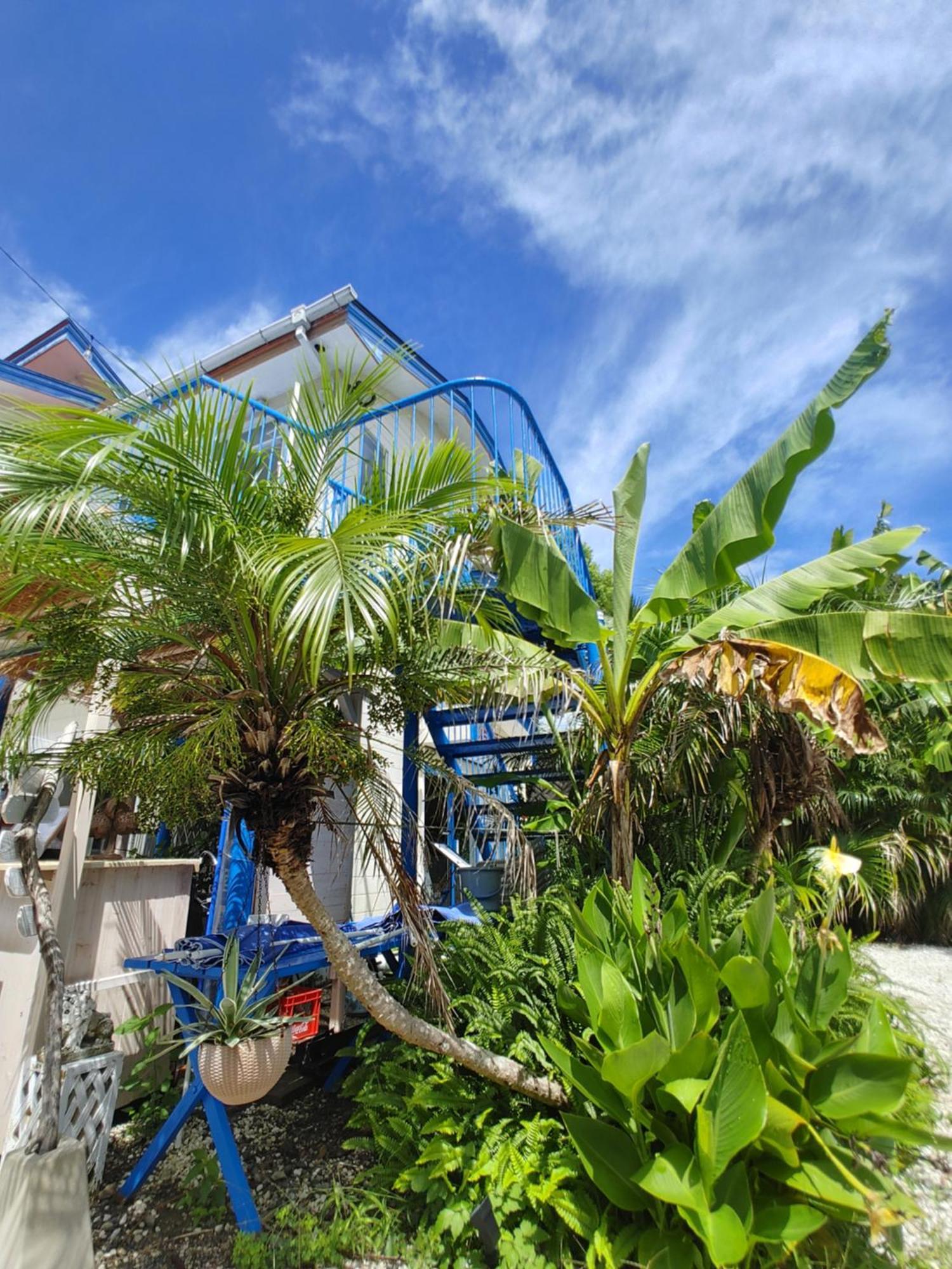 Guest House Churaumi Shimoda  Ngoại thất bức ảnh
