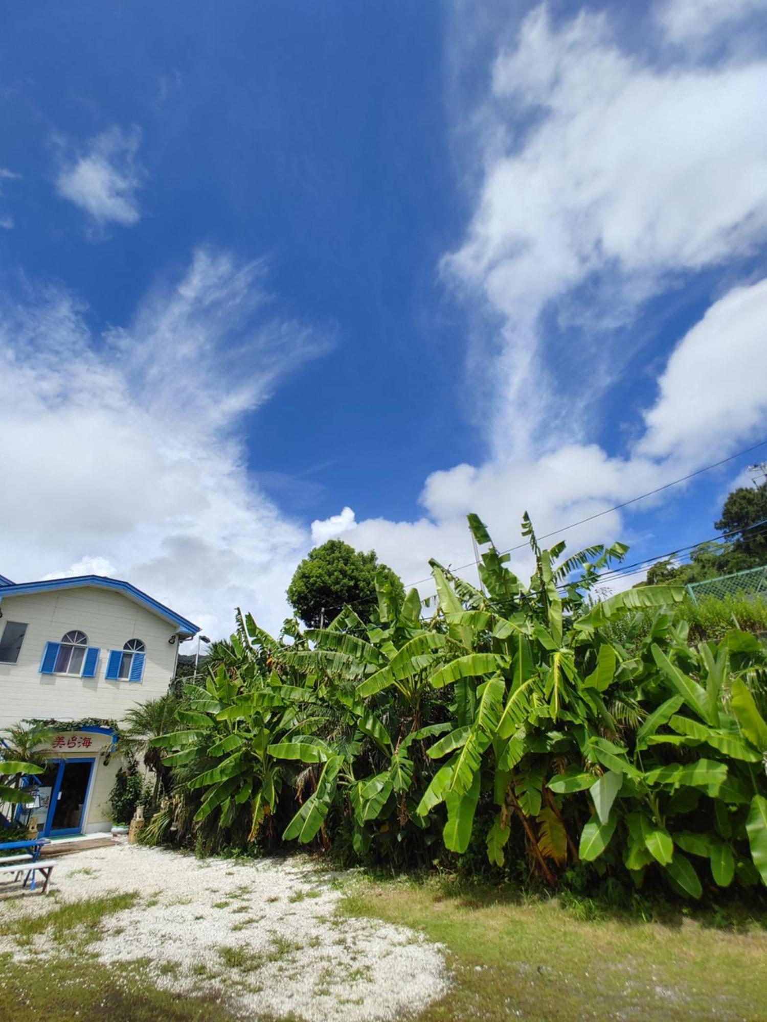 Guest House Churaumi Shimoda  Ngoại thất bức ảnh