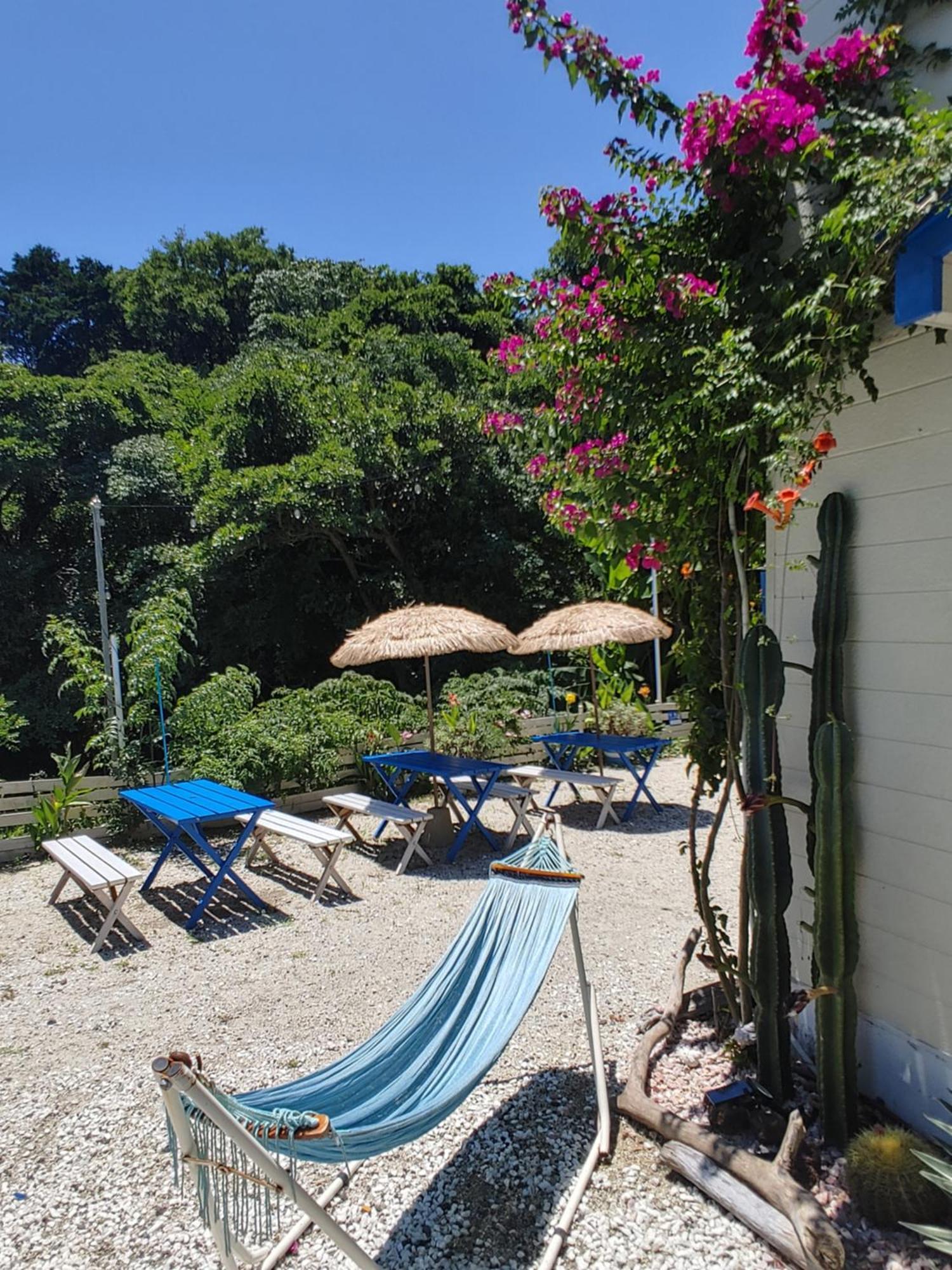 Guest House Churaumi Shimoda  Ngoại thất bức ảnh