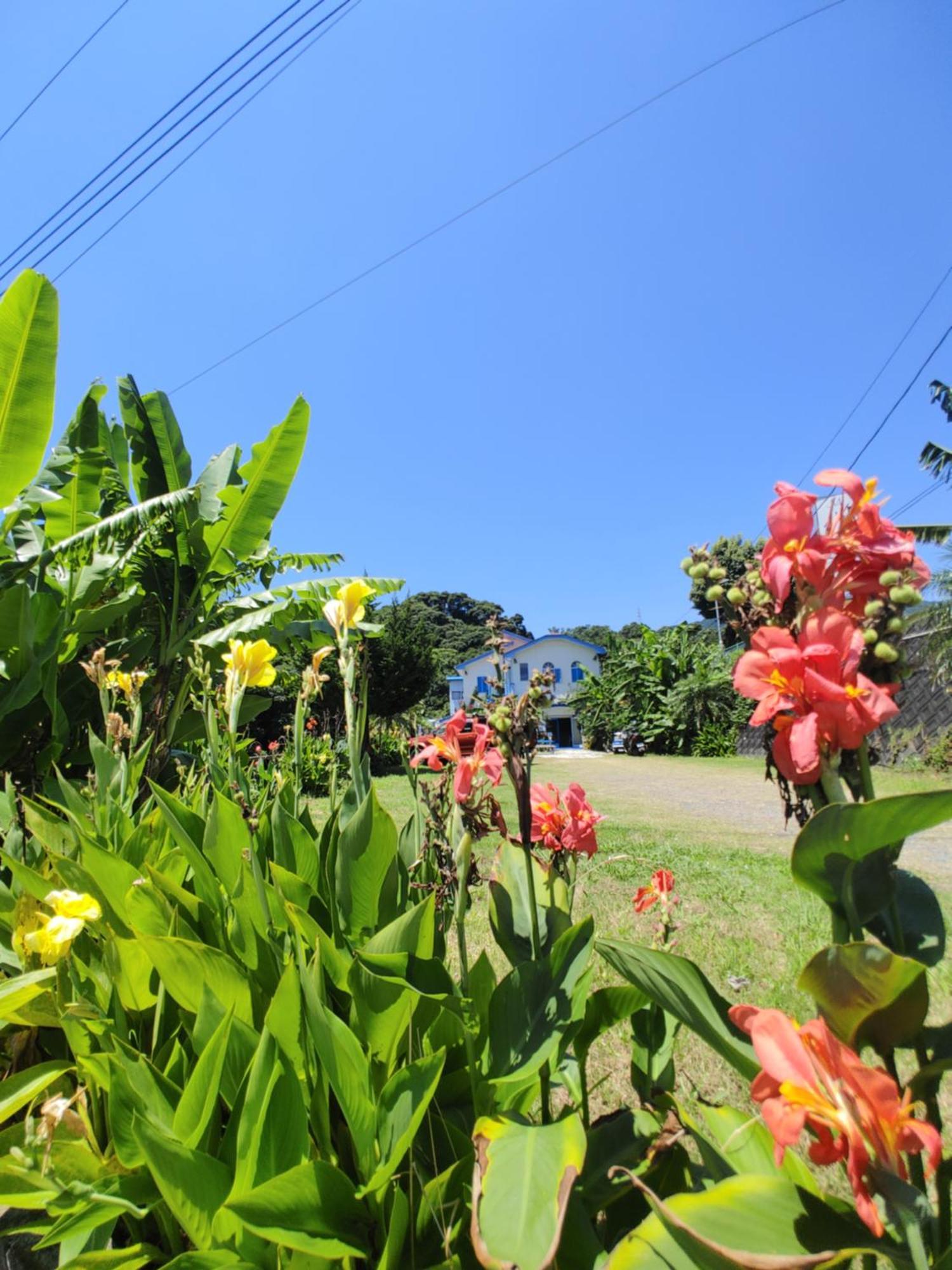 Guest House Churaumi Shimoda  Ngoại thất bức ảnh